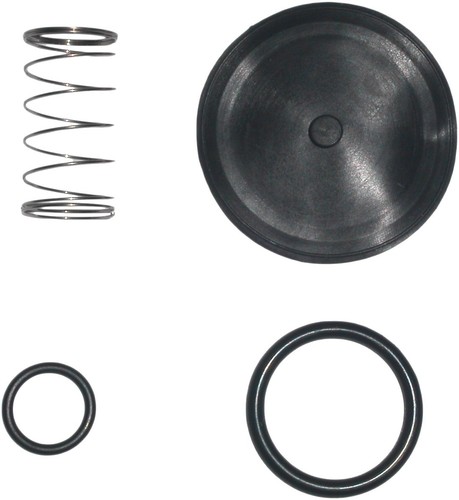 Petrol tap repair kit for - petrol, 1982